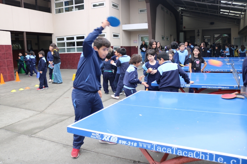 Día de la Actividad Física